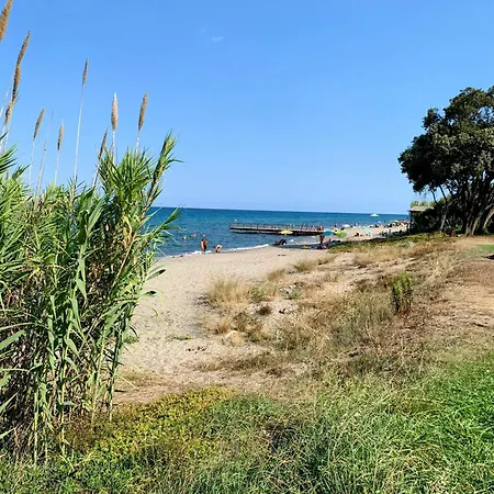 Chez Aline - En Bord De