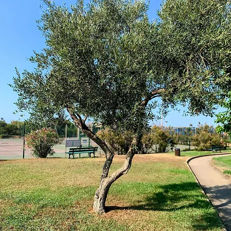 Apartment Chez Aline - En Bord De Cervione